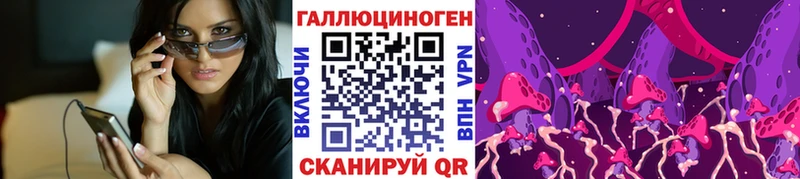 Псилоцибиновые грибы Psilocybe  Кемерово 