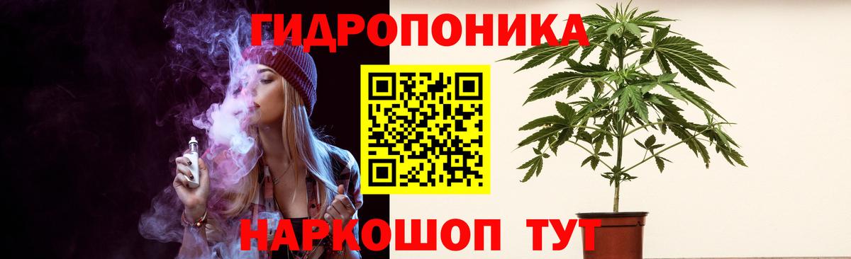 Бошки Шишки ГИДРОПОН Кемерово